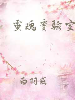 灵魂实验室