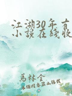 江湖30年有声小说在线收听