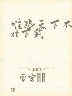 唯恐天下不乱txt下载