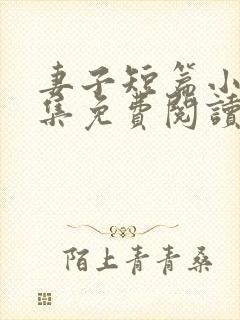 妻子短篇小说合集免费阅读