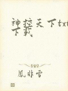 神控天下txt下载