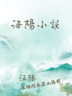 洛阳小说