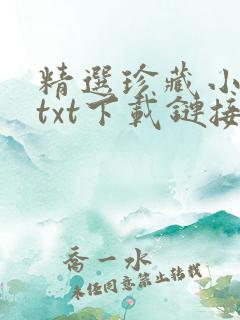 精选珍藏小说集txt下载链接