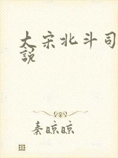 大宋北斗司 小说