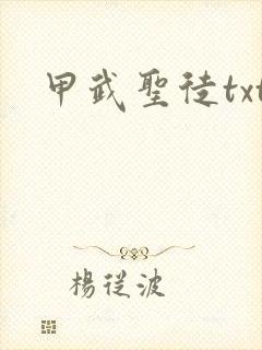 甲武圣徒txt