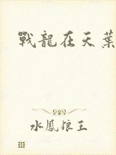 战龙在天叶凡
