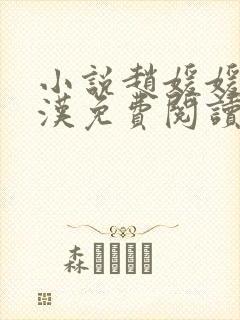 小说赵媛媛王老汉免费阅读