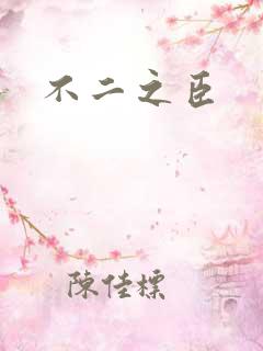不二之臣