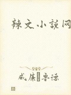辣文小说网阅读