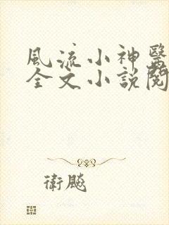 风流小神医叶凡全文小说阅读