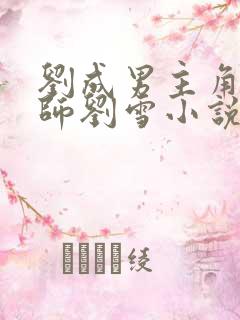 刘成男主角按摩师刘雪小说免费阅读