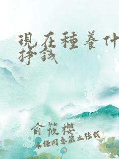 现在种养什么更挣钱