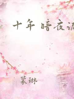 十年 暗夜流光