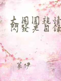 大团圆亲情会闪闪发光目录