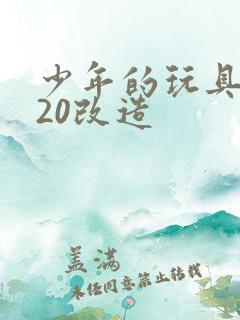 少年的玩具1一20改造