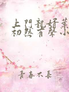 上门龙婿叶辰萧初然有声小说