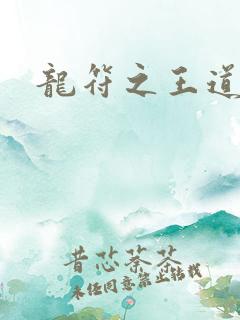 龙符之王道天下
