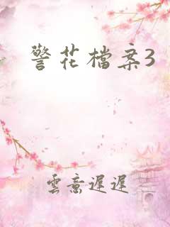 警花档案3