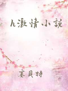 h激情小说