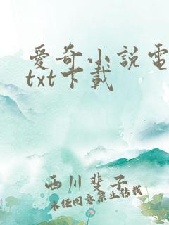 爱奇小说电子书txt下载