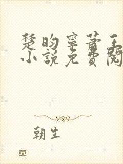 楚昀宁萧王穿越小说免费阅读