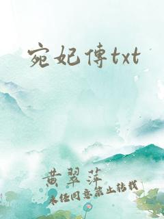 宛妃传txt