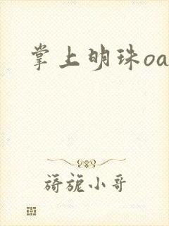 掌上明珠oa