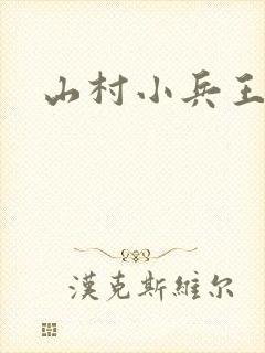 山村小兵王