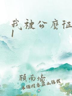 我被公么征服了1
