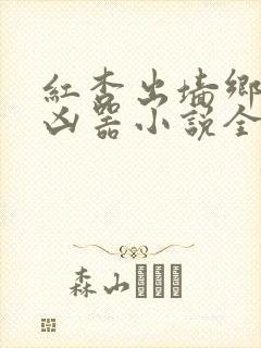 红杏出墙乡村大凶器小说全文阅读