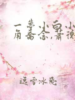 一梦小白小说主角乔念,萧衡