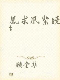 凤求凰紫晓txt