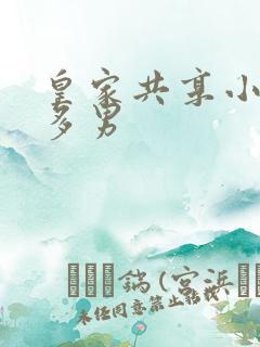 皇家共享小公主多男