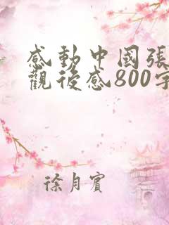 感动中国张桂梅观后感800字