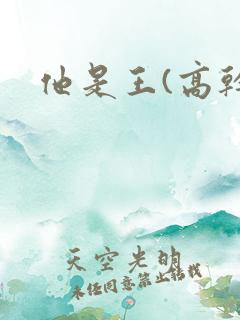 他是王(高干)