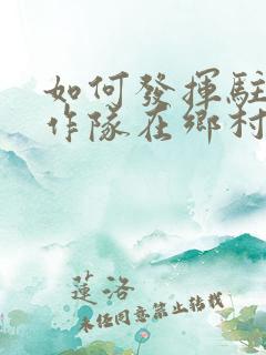 如何发挥驻村工作队在乡村振兴中的作用