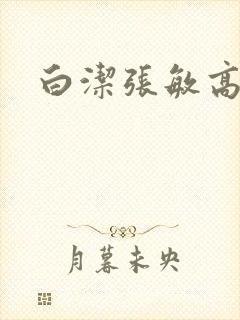 白洁张敏高义