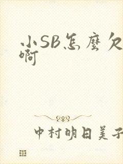 小SB怎么欠C啊
