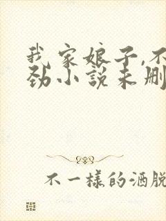 我家娘子,不对劲小说未删版全文