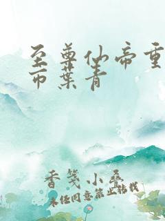 至尊仙帝重生都市叶青