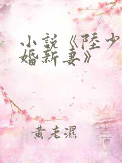 小说《陆少的暖婚新妻》