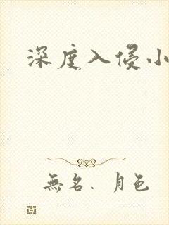 深度入侵小说