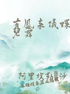 有凤来仪蝶儿蝶儿舞