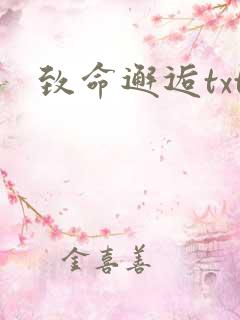 致命邂逅txt