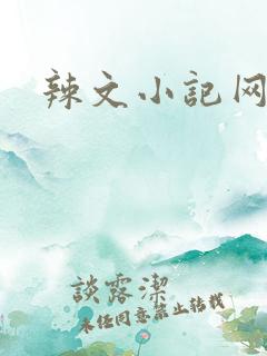 辣文小记网