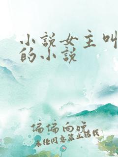 小说女主叫洛蓝的小说