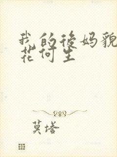 我的后妈貌美如花何生
