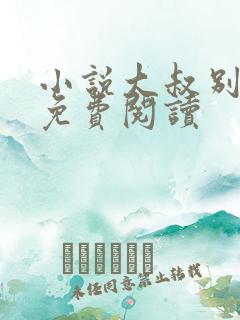 小说大叔别撩我免费阅读