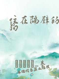 住在隔壁的小狼狗