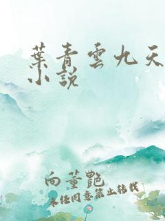 叶青云九天玄宗小说